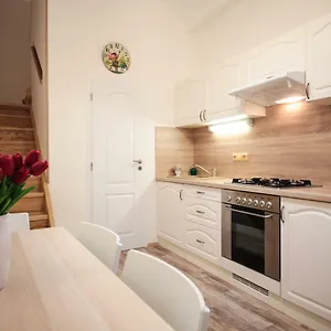 Family Duplex On Wenceslas Square Praha